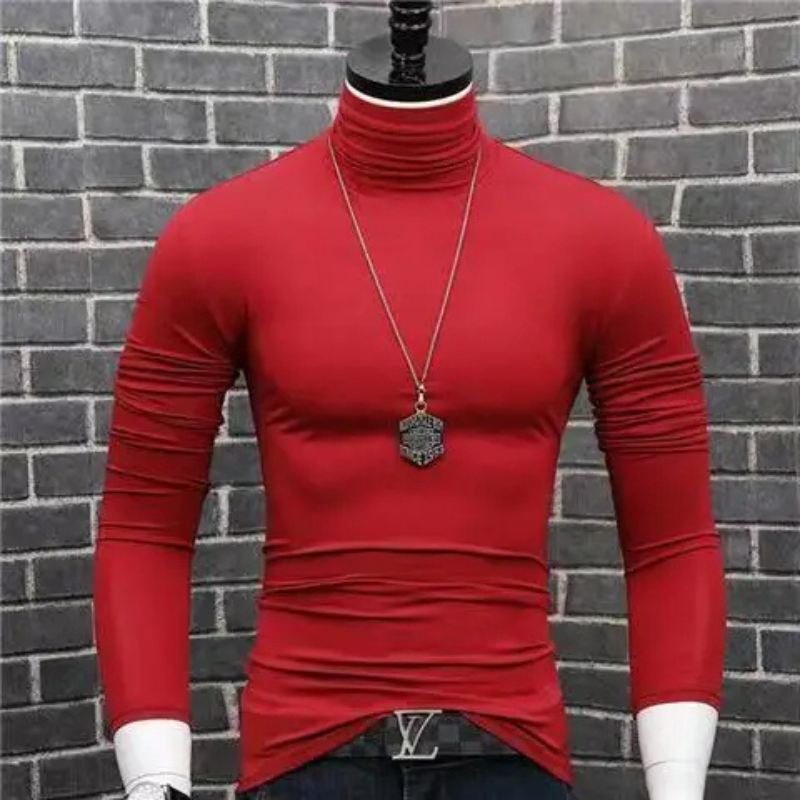 Maglione a collo alto alla moda