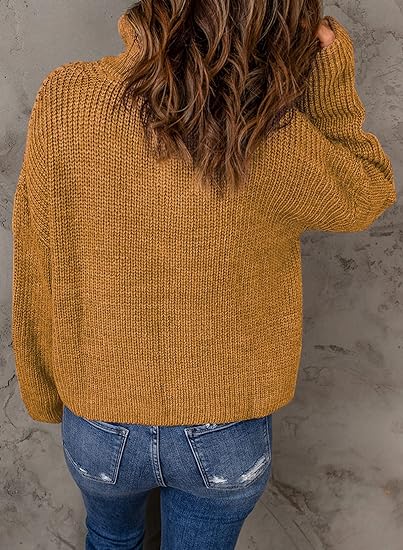 Zenaida - Pull polo avec col en V