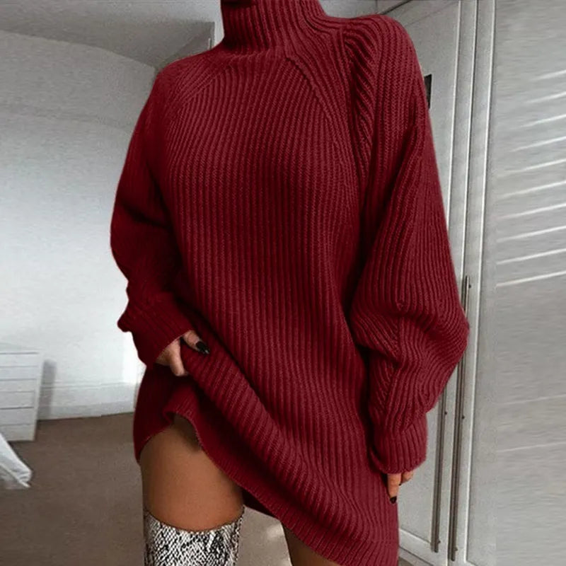 Pamala - Comfortable Dress with Turtleneck