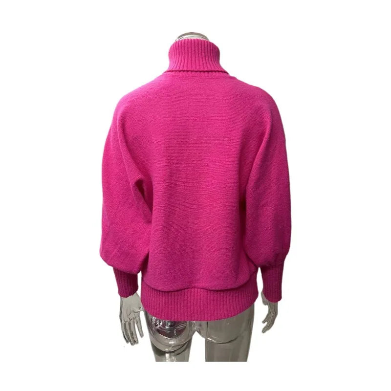Haydee - Warmer festlicher Rollkragenpullover für Damen