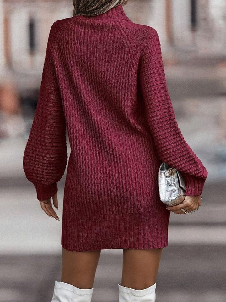 Rivka Rollkragenpullover Kleid